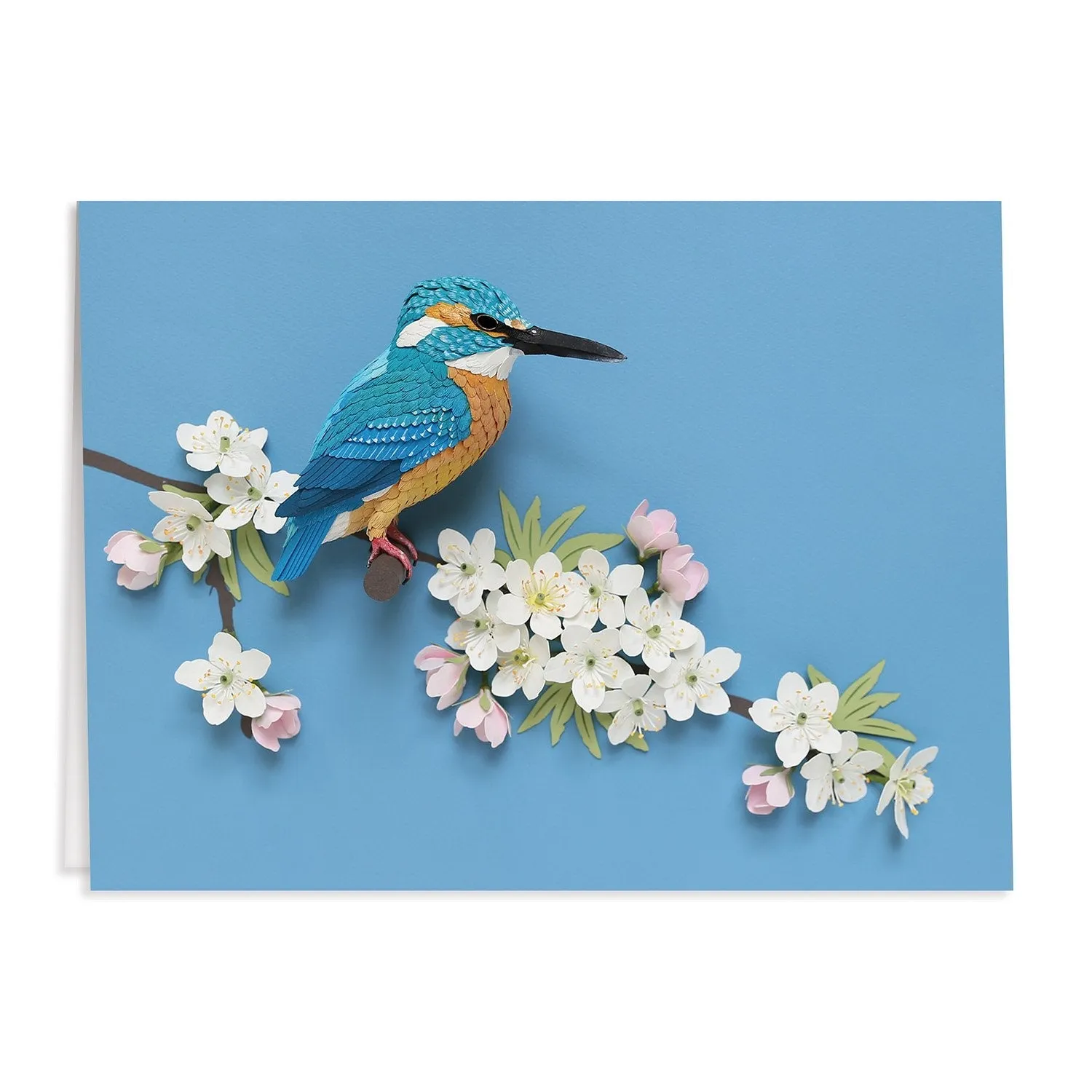 Liberty London Floral Greeting Assortment Notecard Set